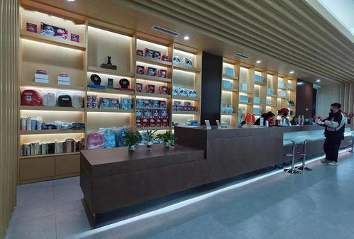 太原日用家电零售中轻松拥有专属冰墩墩的方法