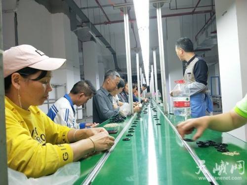 长安家园喜迎电子厂入驻，产业兴农助力乡村振兴，点亮日用家电零售新篇章